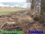 Bild zum Eintrag (914142-177)