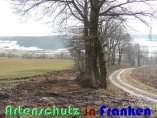 Bild zum Eintrag (914144-177)