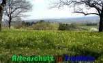 Bild zum Eintrag (914345-177)