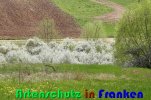 Bild zum Eintrag (914347-177)