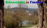 Bild zum Eintrag (914365-177)