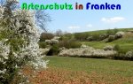 Bild zum Eintrag (914367-177)