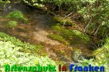 Bild zum Eintrag (914507-177)