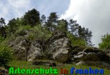 Bild zum Eintrag (914540-177)