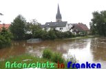 Bild zum Eintrag (914772-177)