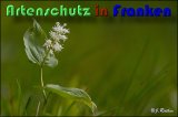 Bild zum Eintrag (914809-177)