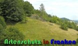 Bild zum Eintrag (914947-177)