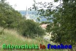 Bild zum Eintrag (914963-177)