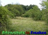 Bild zum Eintrag (914983-177)