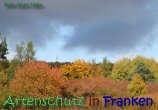 Bild zum Eintrag (915318-177)