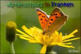 Bild zum Eintrag (915324-177)