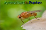 Bild zum Eintrag (915326-177)