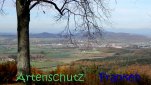 Bild zum Eintrag (915490-177)