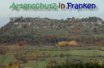 Bild zum Eintrag (915493-177)