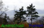 Bild zum Eintrag (915934-177)