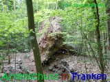 Bild zum Eintrag (916289-177)