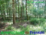 Bild zum Eintrag (916302-177)