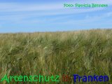 Bild zum Eintrag (916305-177)