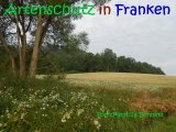 Bild zum Eintrag (916309-177)