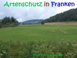 Bild zum Eintrag (916349-177)