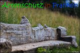 Bild zum Eintrag (916712-177)