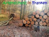 Bild zum Eintrag (916866-177)