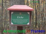 Bild zum Eintrag (917291-177)