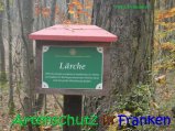 Bild zum Eintrag (917293-177)