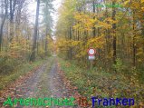 Bild zum Eintrag (917294-177)