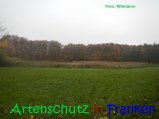 Bild zum Eintrag (917297-177)