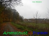 Bild zum Eintrag (917299-177)