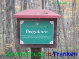 Bild zum Eintrag (917304-177)