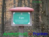 Bild zum Eintrag (917316-177)