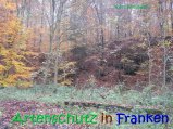 Bild zum Eintrag (917329-177)