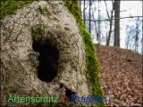 Bild zum Eintrag (919127-177)