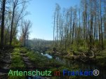 Bild zum Eintrag (919160-177)