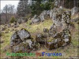 Bild zum Eintrag (919220-177)