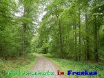 Bild zum Eintrag (919349-177)
