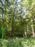 Bild zum Eintrag (919374-177)