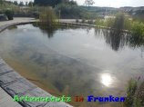 Bild zum Eintrag (920397-177)