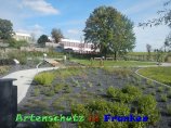 Bild zum Eintrag (920421-177)