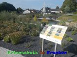 Bild zum Eintrag (920423-177)