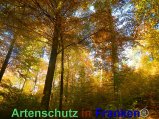 Bild zum Eintrag (920476-177)