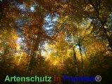 Bild zum Eintrag (920477-177)