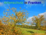 Bild zum Eintrag (920482-177)