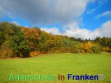 Bild zum Eintrag (920483-177)