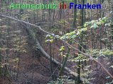 Bild zum Eintrag (920485-177)