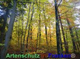 Bild zum Eintrag (920486-177)