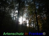 Bild zum Eintrag (920487-177)