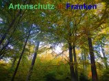 Bild zum Eintrag (920491-177)